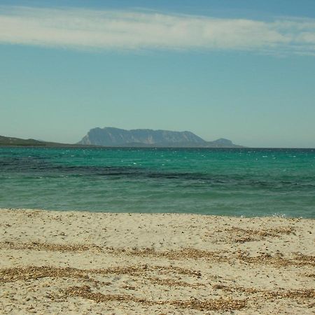 La Culla Del Mare Villa Budoni Luaran gambar