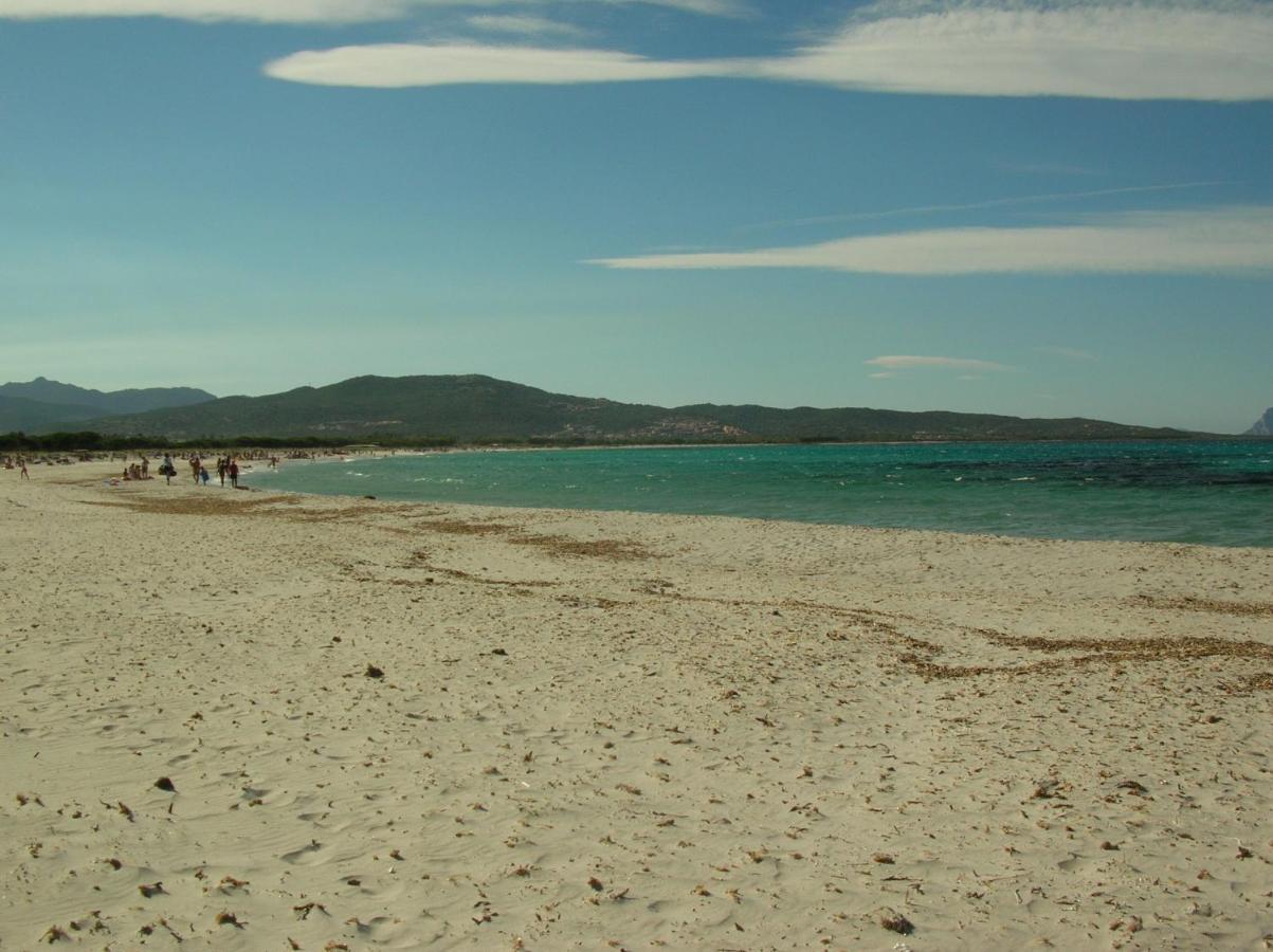 La Culla Del Mare Villa Budoni Luaran gambar